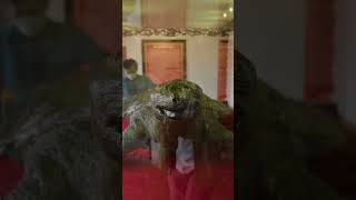 Sự tích cụ rùa tại Hồ Gươm trao gươm Lê Lợi, Cụ rùa tại Hồ Hoàn Kiếm Hà Nội #hoguom #hohoankiem