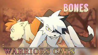 Warriors Cats/Bones