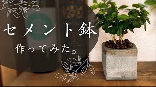 【DIY】土無し・虫無しで育てる！セメント鉢の作り方