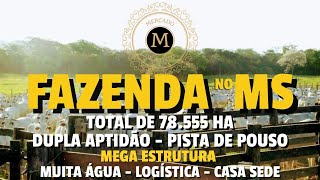 FAZENDA 78.555 HA GADO E LAVOURA NO MS RICA EM ÁGUA ESTRUTURA E LOGÍSTICA TOP - MercadodeAtivos