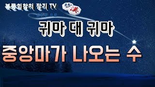 (장기) 귀마 대 귀마 중앙마가 나오는수  북풍회참치