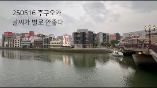 후쿠오카 (미즈타키 먹방, 토쵸지, 나카스강, 캐널시티)