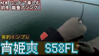 【アジング】NEWロッドで初冬アジングをまったり楽しむ…編【宵姫爽58FL】