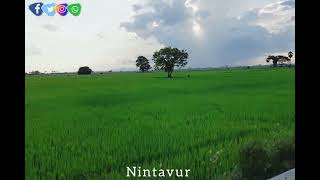 Beautiful Place Sri Lanka For Nintavur