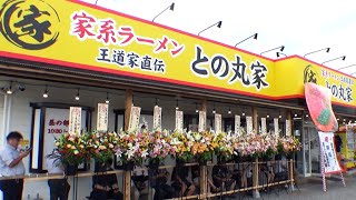 【飯テロ】王道家直伝 家系ラーメン「との丸家」八千代店オープン。食べたら最後！99.9999％ハマる 中毒性ある最高の１杯