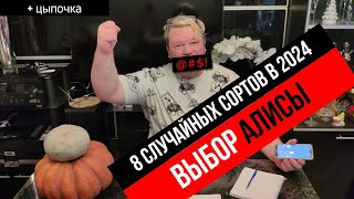 8 сортов выбранных для посадки Алисой.