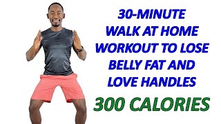 30 Minute Walking Workout to Lose Belly Fat and Love Handles 🔥 Burns 300 Calories🔥 3500 Steps