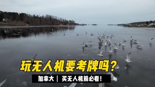 在加拿大玩无人机需要牌照吗？新手买无人机前必看！