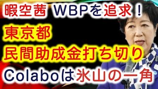 【Colabo問題！】暇空茜 Colaboは氷山の一角、WBPのほうが問題が大きい！仁藤夢乃さん、東京都・民間助成金も打ち切られる・若草、BONDプロジェクト、ぱっぷすを追及【龍之介channel】