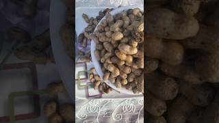 How to make salt boiled peanuts 🥜|# healthy #shorts #viral