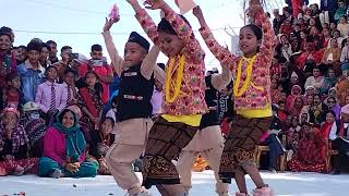 नयाँ पुस्ताको सिङ्गारु नाच आयो ।।singaaru naach