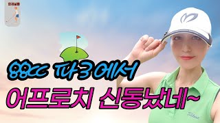 [파3골프연습장 도장깨기 4탄!!]88cc 파3에서 어프로치 신동났네~