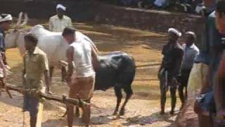 Kala poottu competetion in Arimbra Malappuram District - Kerala