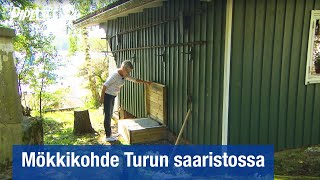 Pipelife: Mökkikohde Turun saaristossa