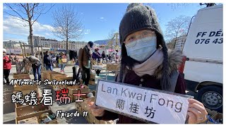 日內瓦跳蚤市場竟是周末好去處 GENEVA FLEA MARKET| 螞蟻看瑞士 #11 | ANTravel: SWITZERLAND 🇨🇭