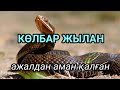 Көлбар жылан.