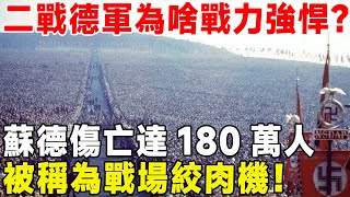 二戰德軍為啥戰力強悍？ 蘇德傷亡達180萬人，被稱為戰場絞肉機！#人物記 #人物傳記 #人物誌 #真相 #名人