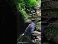 Ngaloi waterfall, Ccpur, Manipur. #shorts #waterfall #wild #water