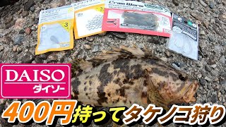 ダイソー自作直リグでタケノコメバルを狙ったらこんなの釣れちゃいました