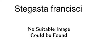 Stegasta Francisci