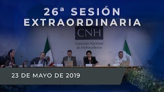 26ª Sesión Extraordinaria del Órgano de Gobierno (23/mayo/2019)