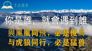 《你是誰，就會遇見誰》你若種下梧桐樹，必然引得鳳凰來|一個人能走多遠，要看他有誰同行|人生漫漫，你和誰在一起，真的很重要