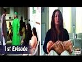 Mubarak Ho Beti Hui Hai Episode 1 - ARY Digital Drama