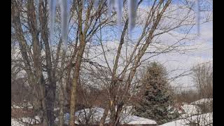 WINTER WONDERLAND | Heavy Snowfall in Canada - London Ontario Canada January 2025.