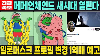 [페페언체인드 밈코인] PEPU 긴급속보 새시대 열립니다 일론머스크 프로필 변경 1억배 예고 필수시청 코미녀