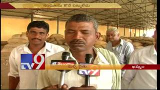 Mirchi price fall leaves farmers in tears - TV9