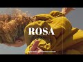 rosalia x flamenco type beat