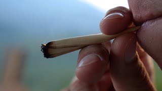 Addiction experts warn of the consequences of marijuana use | Feb 3, 2025 | Heidi Echavarria | BCN