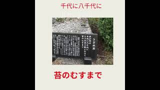 君が代は千代に八千代にさざれ石のいわおとなりて苔のむすまで