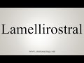 How To Say Lamellirostral