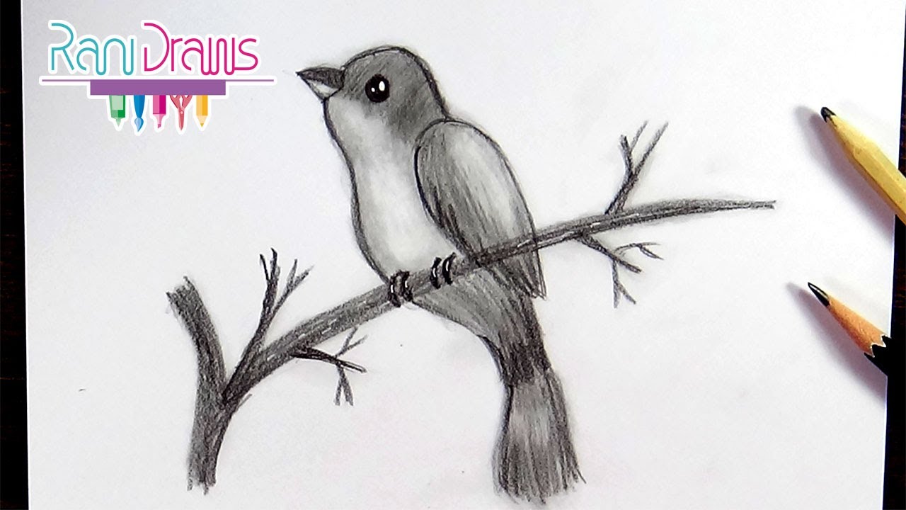Dibujos A Lapiz De Pajaros