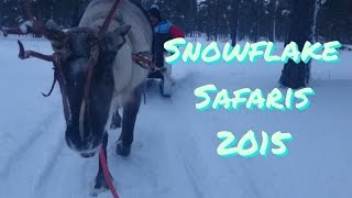 Snowflake Safari Montage 2015