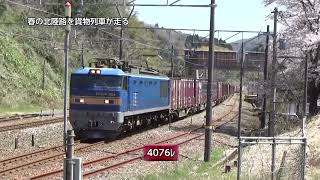 春の倶利伽羅駅･･･青いEF510が通過