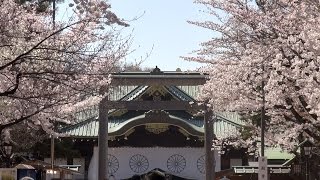 桜の靖国神社