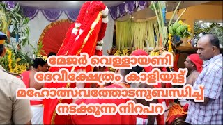 മേജർ വെള്ളായണി ദേവീക്ഷേത്രം കാളിയൂട്ട് മഹോത്സവം  #vellayaniammaonline #vellayaniamma #newsupdate