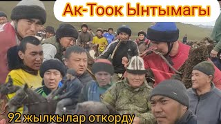 Ак-Тоок ЫНТАМАК улагы кызык болду