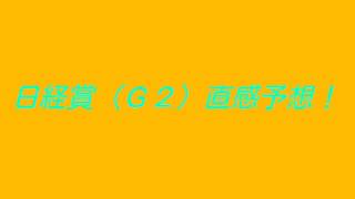 日経賞（Ｇ２）　直感予想！