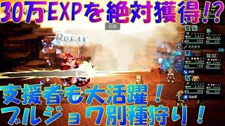 オクトパストラベラー大陸の覇者　30万経験値を絶対に獲得する！ヒースコートはレベル上げの強い味方！？【OCTOPATH TRAVELER】