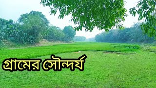 গ্রাম বাংলার দৃশ্য Bangladesh Village View Village Of Bangladesh Village Life With Anamul