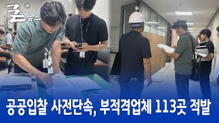 공공입찰 사전단속, 부적격업체 113곳 적발