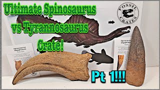 Fossil Crates Ultimate Spinosaurus vs Tyrannosaurus Crate Pt 1 Review!!!