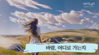 윈린(winLyn) - 바람, 어디로 가는지