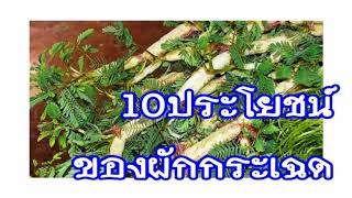 10ประโยชน์ผักกระเฉด กินต้านมะเร็ง ป้องกันโลหิตจาง บำรุงผิวพรรณ  [mcmHealth]