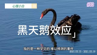 黑天鹅效应：⾮常难以预测，且不寻常的事件，通常会引起市场连锁负⾯反应甚⾄颠覆的现象，被称为“⿊天鹅事件”，也叫“⿊天鹅效应”。