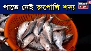 মরসুমের প্রথম ইলিশ অভিযানে হতাশ মৎস্যজীবীরা