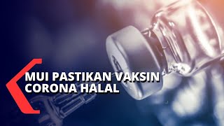 MUI Akan Pastikan Vaksin Halal, Sebelum Disuntikkan